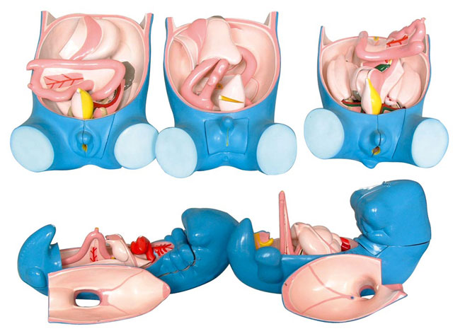 ֳwǻl(f)5