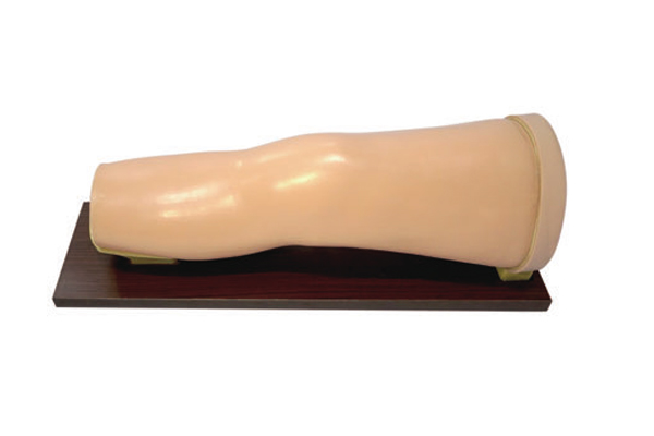 ϥ�P��(ji��)ǻ��ע��ģ��