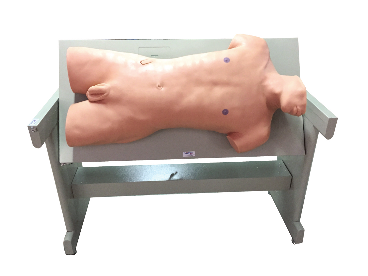 �C�ϴ����g(sh��)�cߵ�\�z�鼼��Ӗ(x��n)����(sh��)�(y��n)��