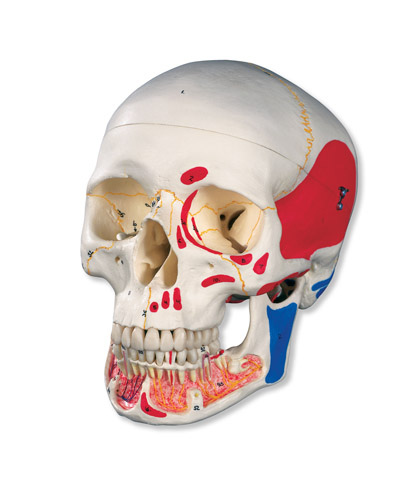 (jng)Bģ͎_Mɫ 3