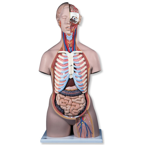(jng)o(w)|ģ_(ki)ţ21