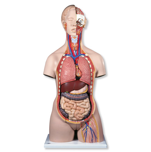 A̓|ģ_(ki)28