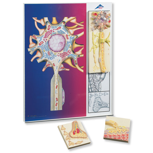 (jng)W(xu)ϵ5KŻģڽ@ʾ